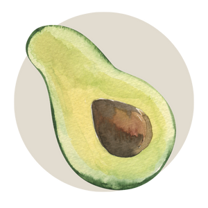 drawing of an Avocado represents optimal nutrition for skin_nutritional therapy_services