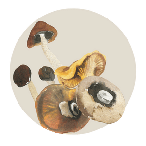 reishi and shitake mushrooms