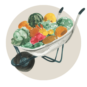 wheelbarrow full of vegetables and plant-based foods