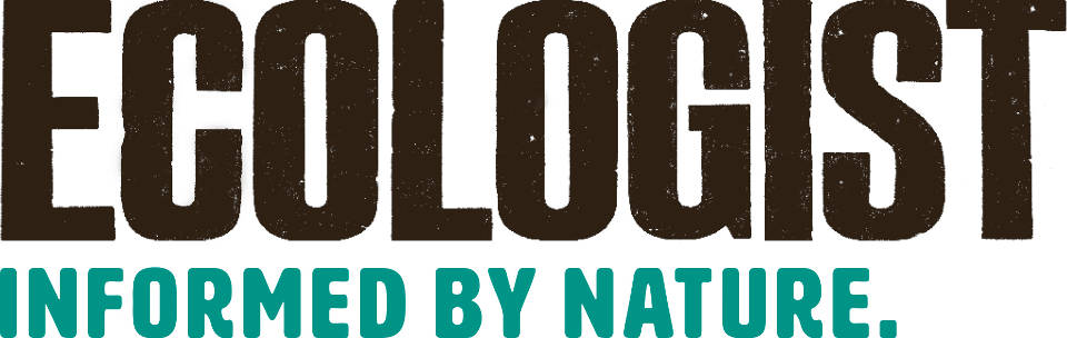 featured in Ecologist magazine online