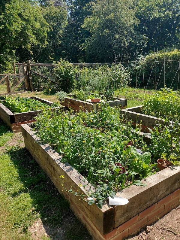 raised beds gone wild_vegetable plotter kitchen garden